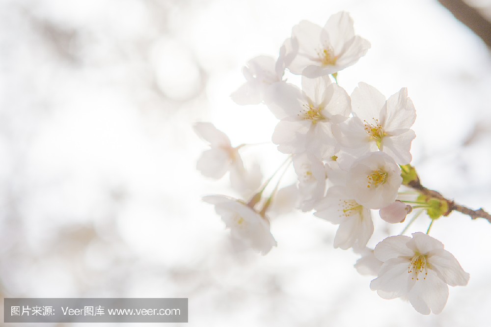 编号00351  97年女生在澄迈