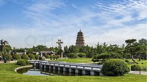 外省城市绿化